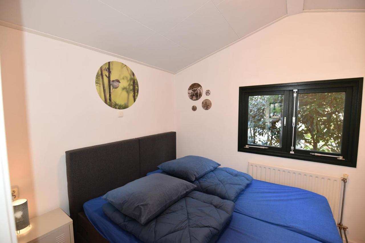 Chalet Albatros Diever Exteriör bild