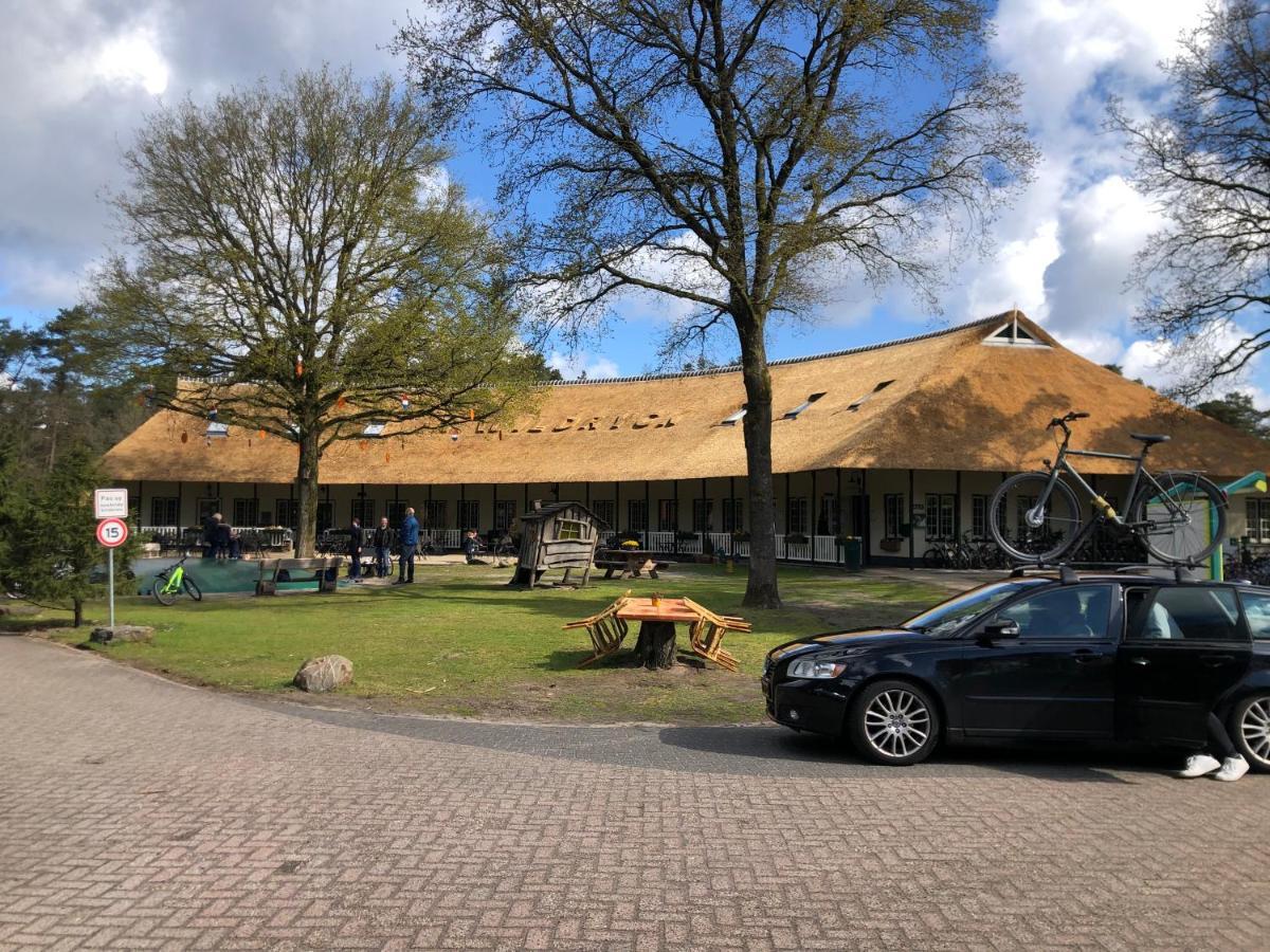 Chalet Albatros Diever Exteriör bild
